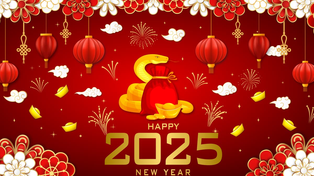 Puppy Paws — Bình Thạnh